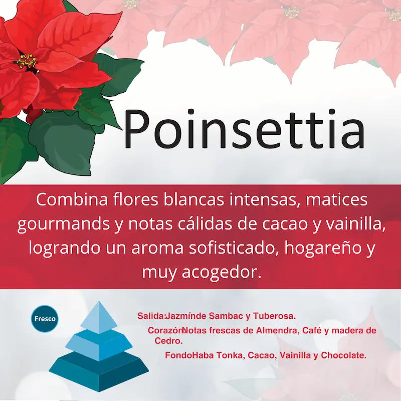 Decoaroma Boles d olor Poinsettia