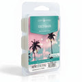 Cera aromática Coco Oasis – Wax Melts