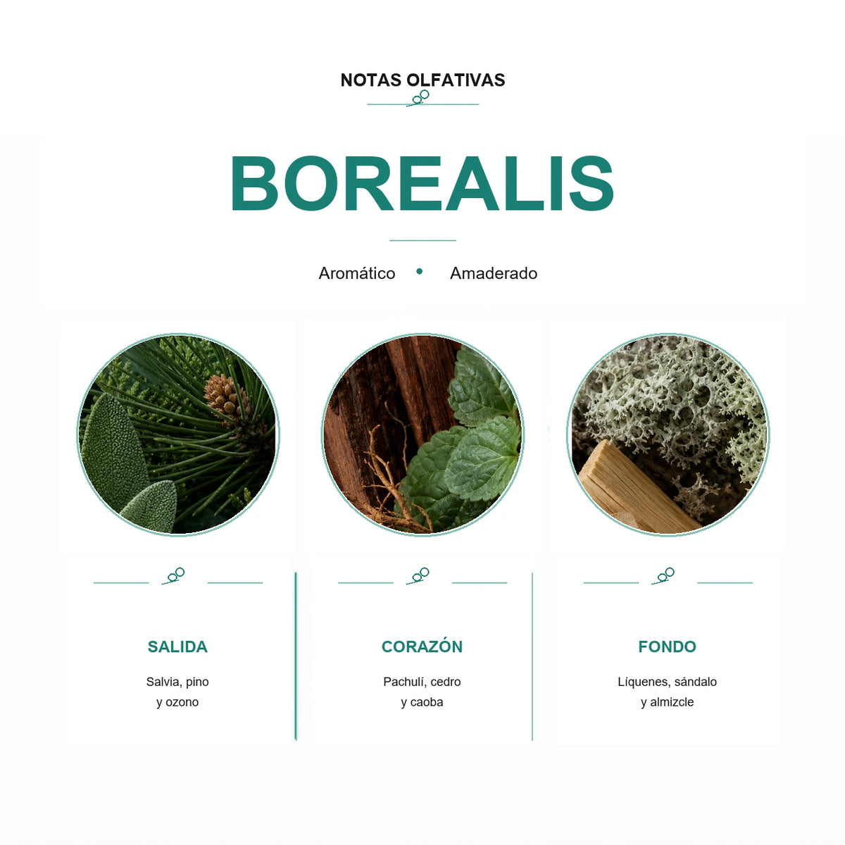 Esencia para Difusor Eléctrico - BOREALIS