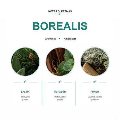 Esencia para Difusor Eléctrico - BOREALIS