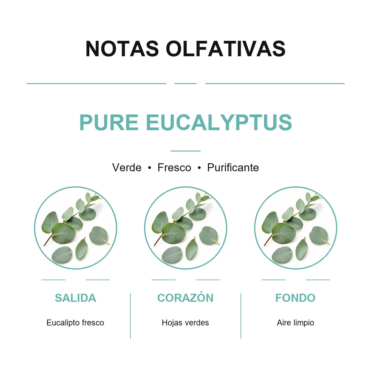 Esencia para Difusor Eléctrico - PURE EUCALYPTUS
