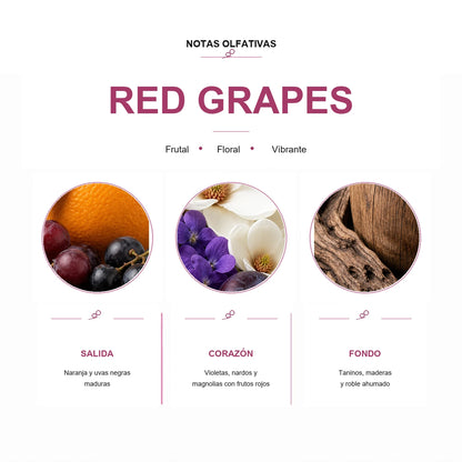 Esencia para Difusor Eléctrico - RED GRAPES