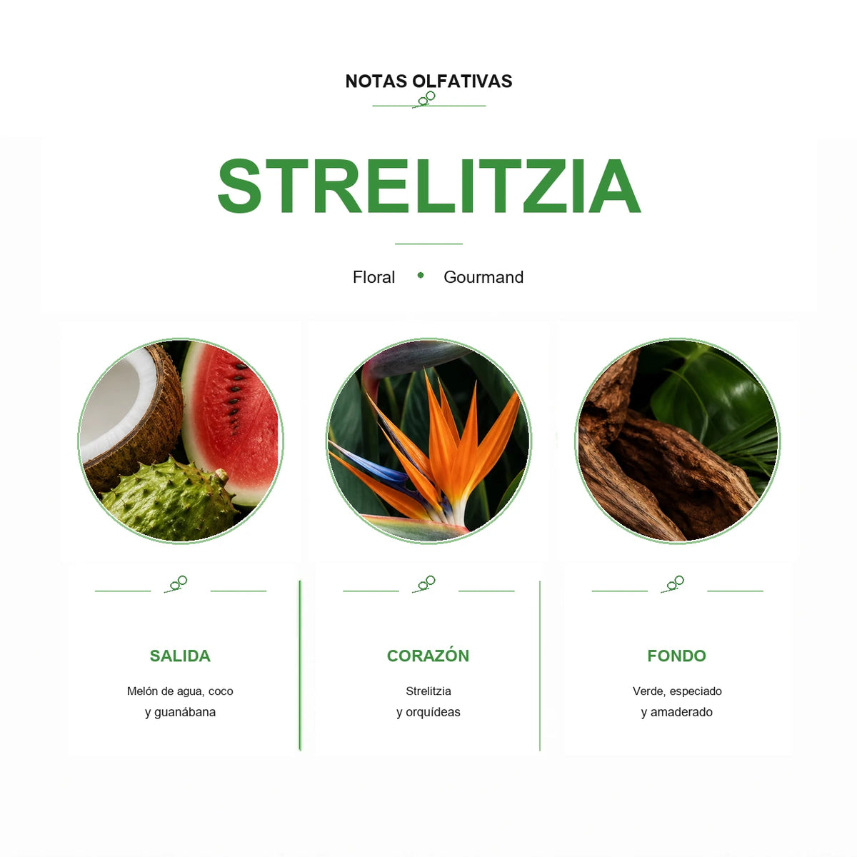 Esencia para Difusor Eléctrico - STRELITZIA