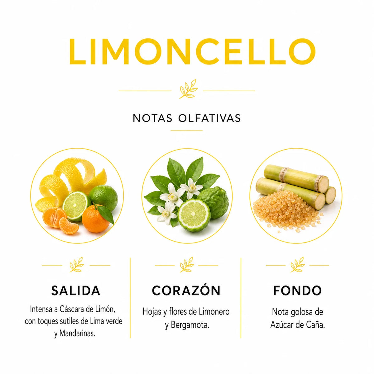 Difusor de Varillas - Mikado Black Edition - LIMONCELLO