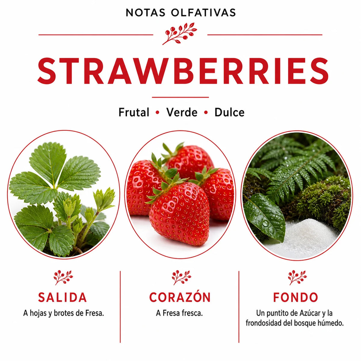 Ambientador de Auto - On The Car - STRAWBERRIES