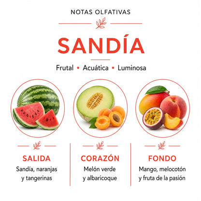 Ambientador Spray - SANDIA